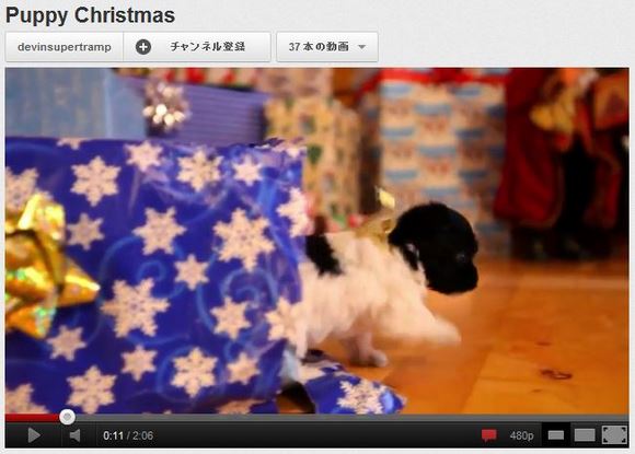 パピークリスマス！ 「来年のクリスマスは子犬を下さい」とサンタさんに猛烈にお願いしたくなる動画