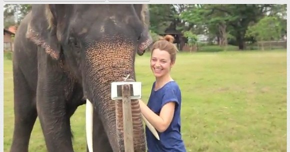 動画 何度でも見たくなっちゃう スマホで遊ぶゾウがとってもキュートなんだぞう ロケットニュース24