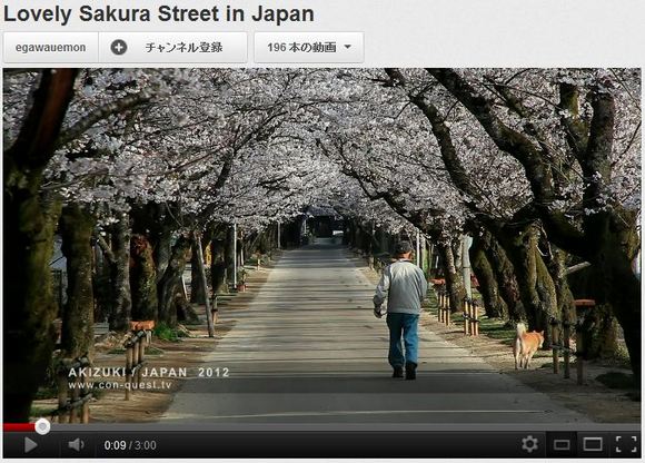 日本の春を彩る美しき「桜」に世界もうっとり！　海外ユーザー「日本は夢のような国だな」