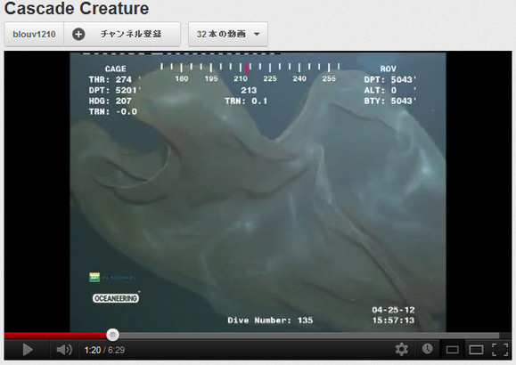 【衝撃映像】深海に生きる謎の軟体生物が激写され話題に