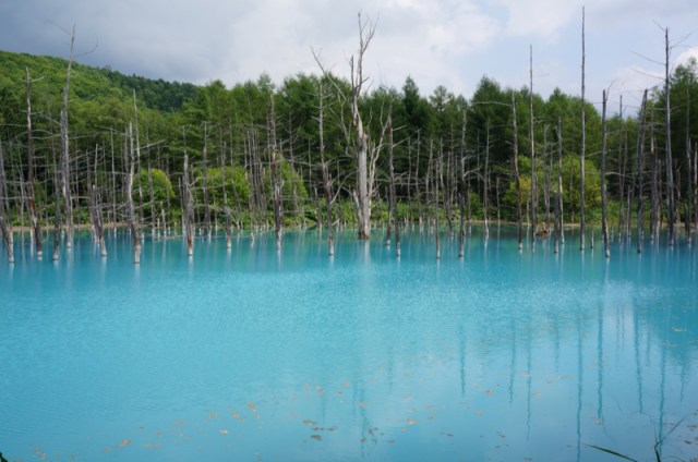アップル Macの壁紙にも使われた北海道の 青い池 に行ってみた 見る角度によって色が変化するとか神秘的すぎる ロケットニュース24