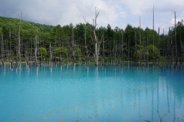 【アップル】Macの壁紙にも使われた北海道の「青い池」に行ってみた！ 見る角度によって色が変化するとか神秘的すぎる!!