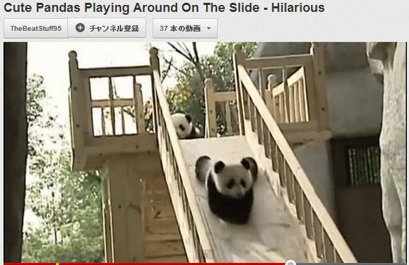 みんな順番にすべるねん！ すべり台で遊ぶ幼児パンダが可愛すぎてとろけそうになる