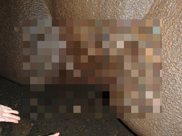 【閲覧注意】フィリピン奥地の鍾乳洞にある「伝説の鍾乳石」が18禁すぎてヤバイ