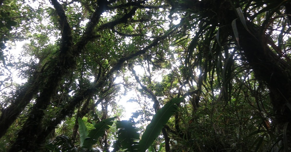 IMG_3709 | ロケットニュース24