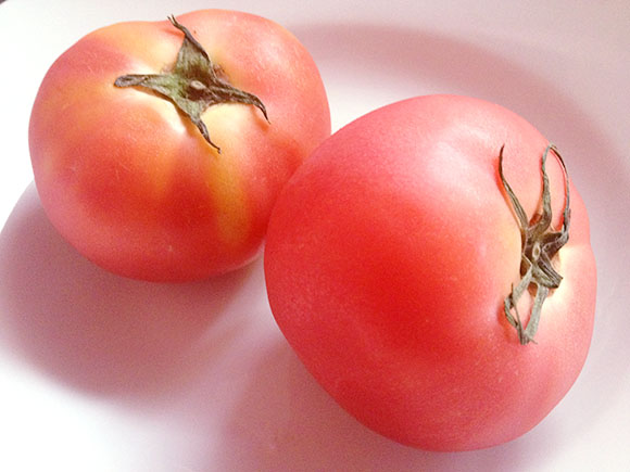 【激論】トマトにかけるのは「塩」か「砂糖」か / あなたはどっち派？