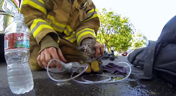 彼らこそ本物のヒーロー！ 消防士が火事現場から瀕死の子猫を救出する動画に世界が感動