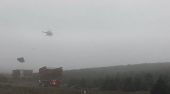 Oregon Christmas Tree Harvest With Helicopter_580px