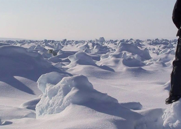 【北極冒険33日目】雪と乱氷に悩まされる日々 / 距離をかせげずに焦りは募るばかり