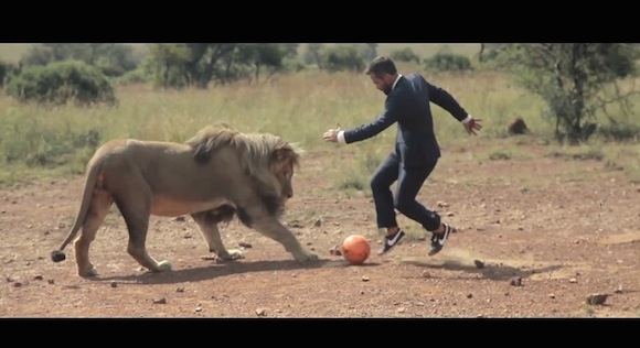 衝撃サッカー動画 Cgなしのガチンコ 本物のライオンとサッカーをするジェントルマンがスゴい ロケットニュース24