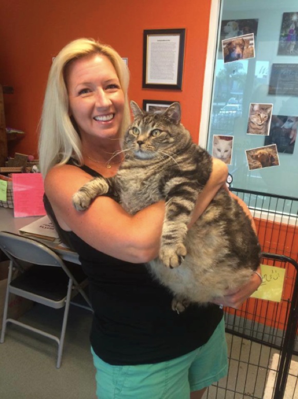 【デカすぎ】体重17キロの「超巨体ネコ」が始めたダイエットに猫ファンたちが熱視線！ 近況を伝える専用Facebookページまで開設される
