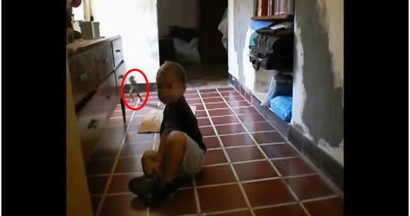 鮮明オカルト映像 アルゼンチンで子どもの様子を撮影した映像に謎の生物 走り抜ける小人か ロケットニュース24