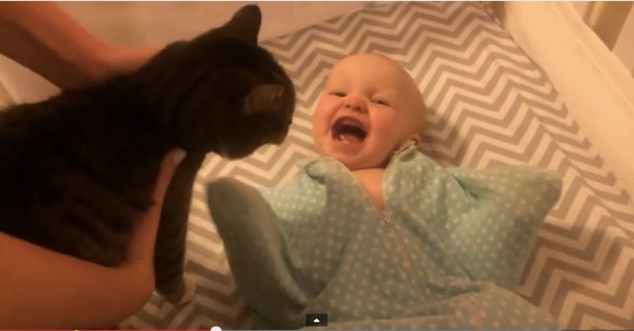 【動画】ネコが好きすぎて赤ちゃん大はしゃぎ！ ニャンコを見ると喜びまくりでカワイイ