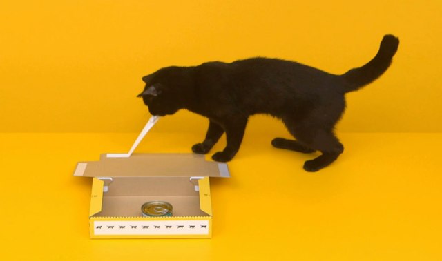 【可愛すぎ動画】本物の黒猫が「クロネコヤマト」の箱を組立ててみた！ ぺろぺろモショモショ一生懸命な作業に悶絶キュン死なのら〜!!