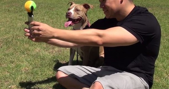 マジで欲しすぎる 犬を確実にカメラ目線にさせるスマホグッズ Pooch Selfie が天才的発想だった これは全世界で発売すべき ロケットニュース24