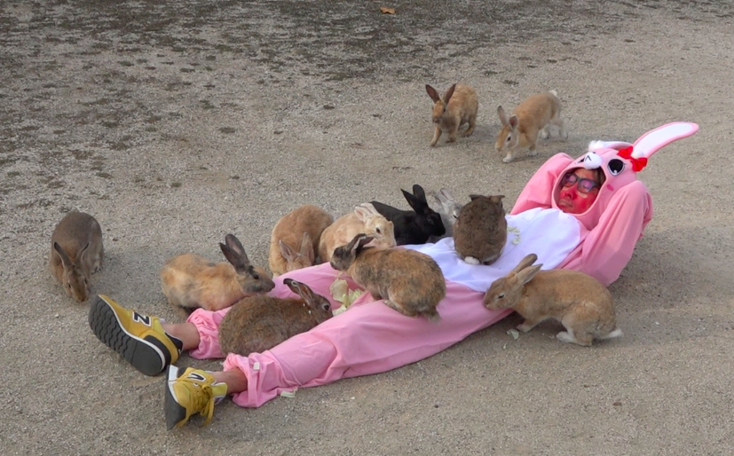 ウサギの島 からだ中にエサを撒いて地面に寝てみた ウサギの大群がお腹によじ登ってマジでしわあせすぎる ロケットニュース24