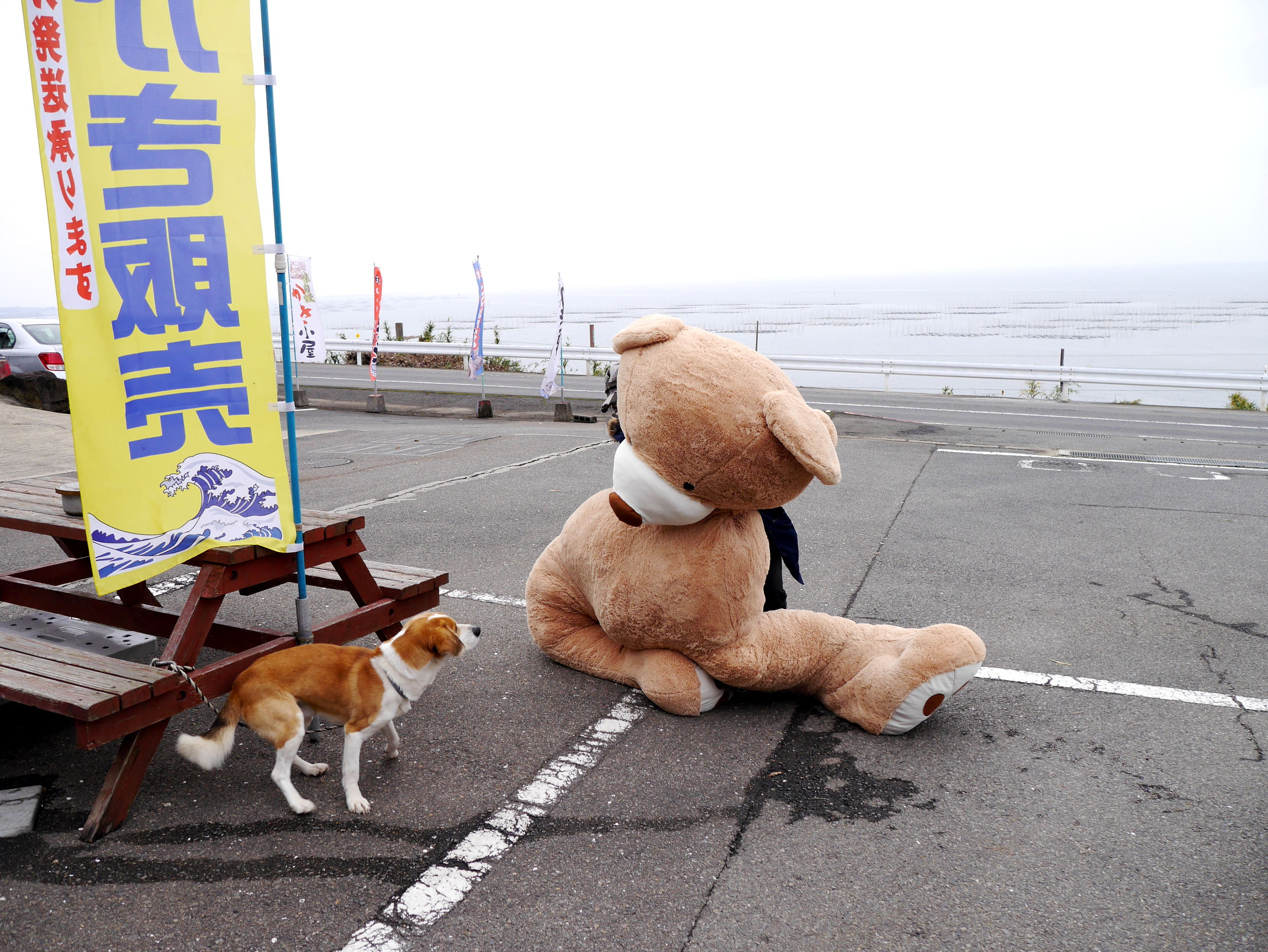 デカすぎて泣いた】2m50cmの巨大クマと佐賀県に1泊2日してきた