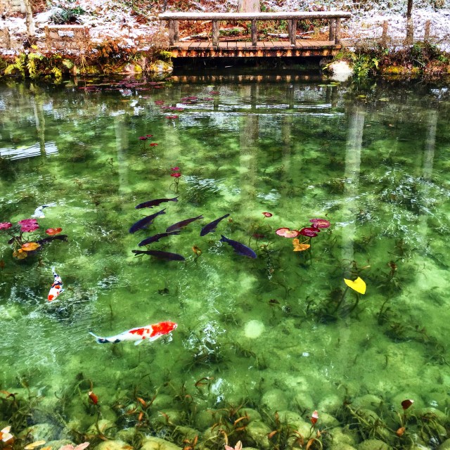 【絶景】岐阜県関市の「モネの池」がマジ綺麗すぎ