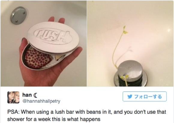 Lush ラッシュ の製品を使っていたら 生命の神秘 が起こった とネット上がざわめく ロケットニュース24