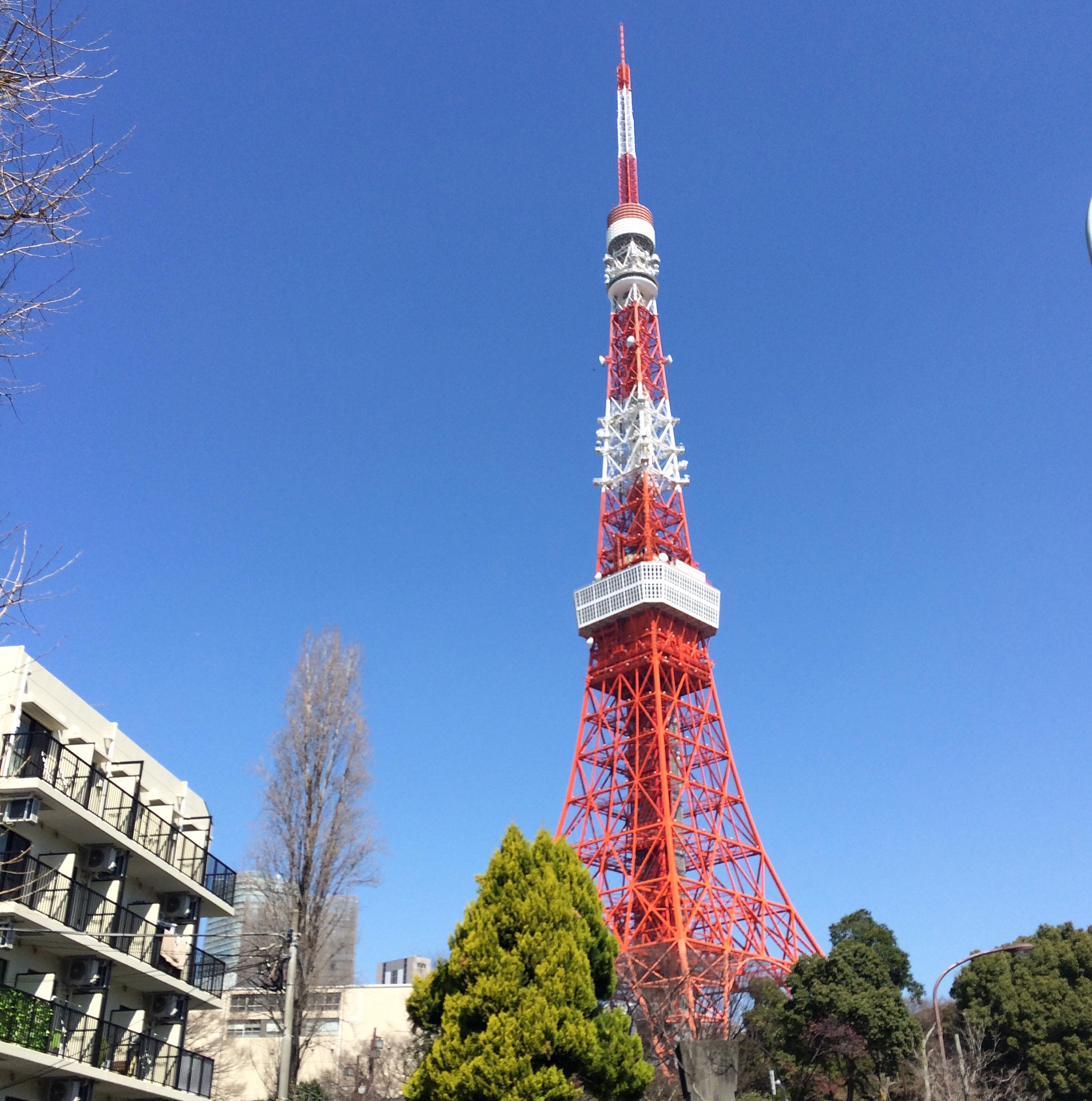 東京タワーの似顔絵師さん3人に似顔絵を描いてもらったらこうなった プロ漫画家にもお願いしてみた ロケットニュース24