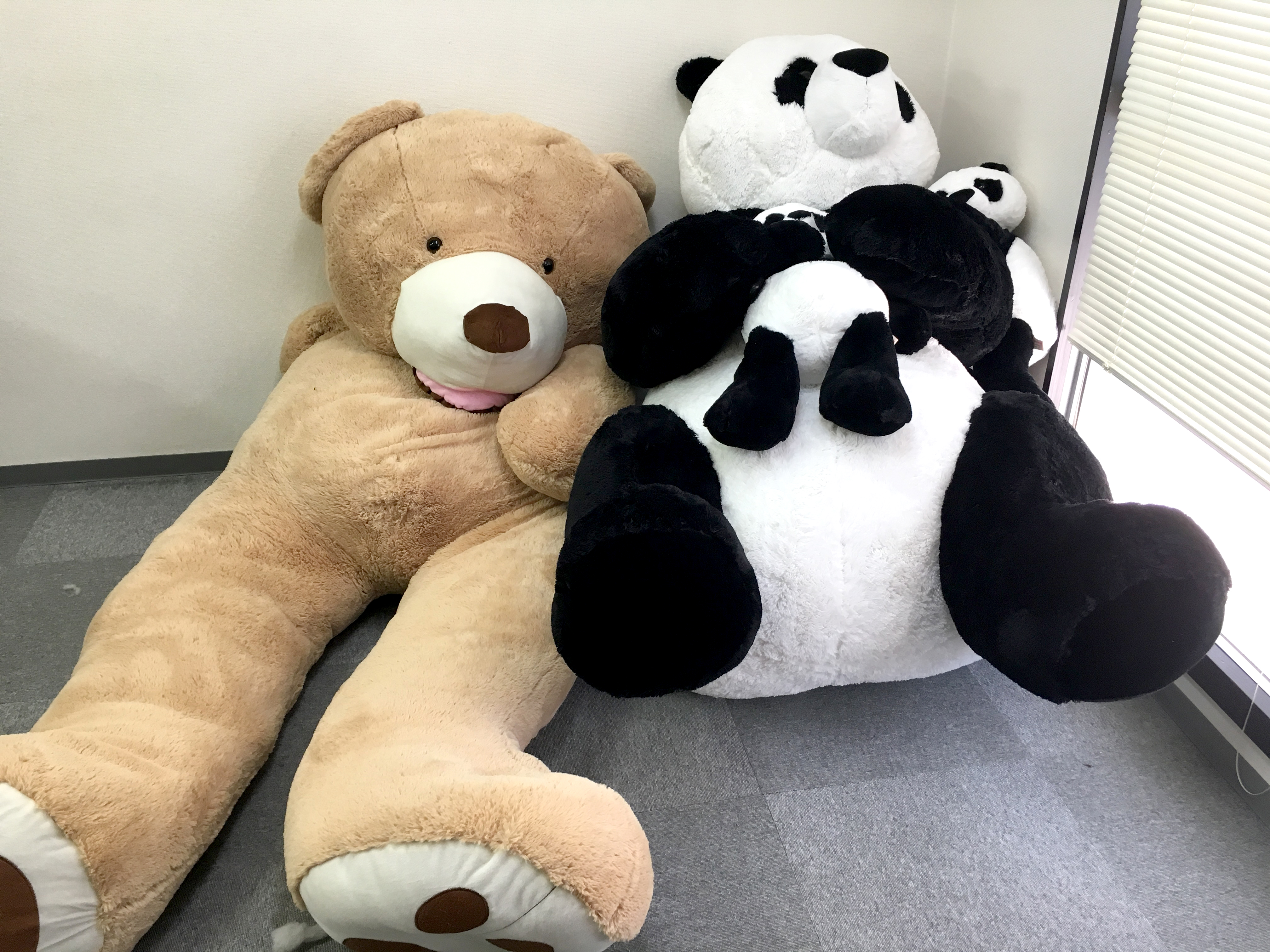 衝撃】神奈川の「コストコ」にクマが出没！ 巨大パンダを購入して帰っ 