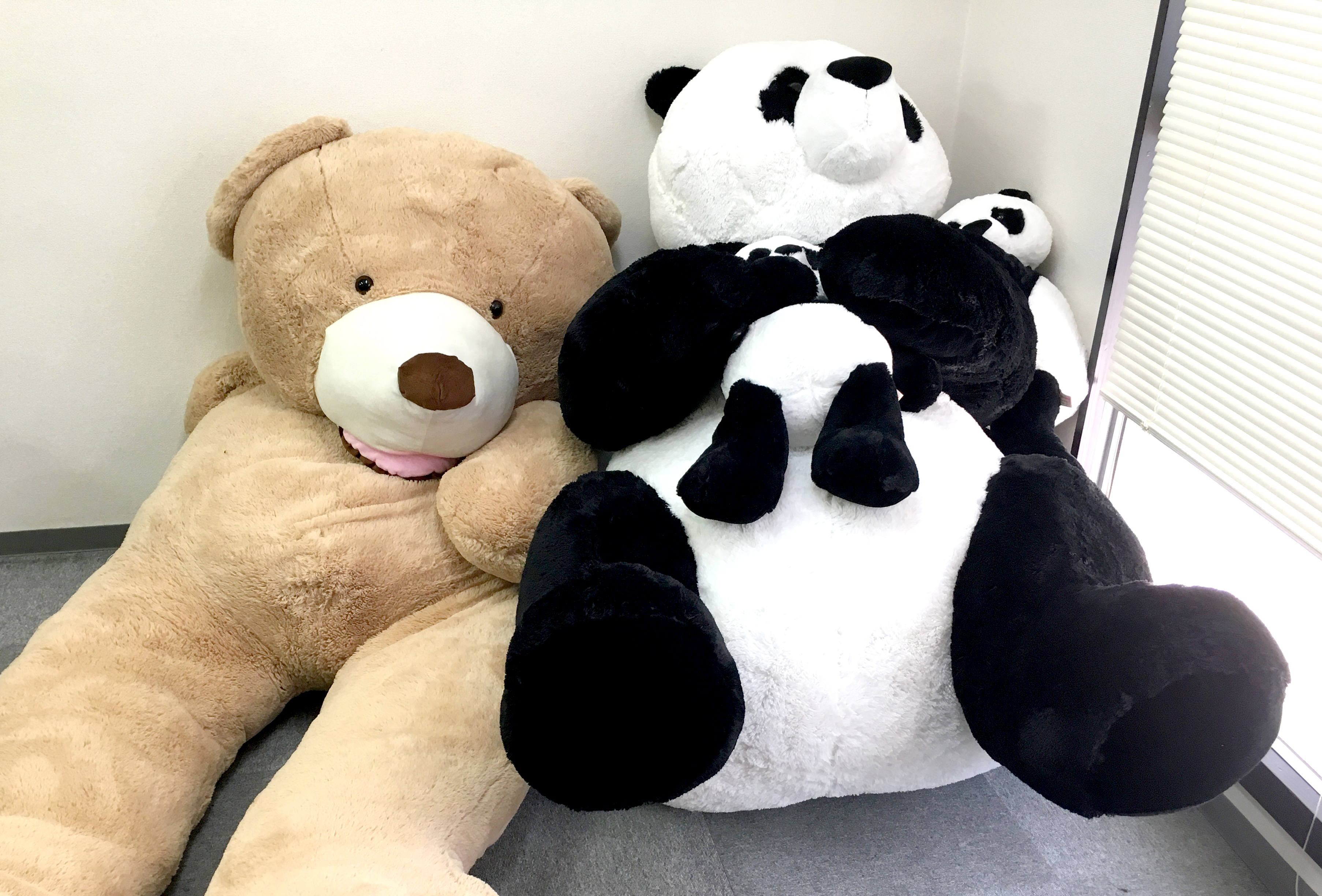 衝撃】神奈川の「コストコ」にクマが出没！ 巨大パンダを購入して帰っていく様子がかわいすぎる!! | ロケットニュース24