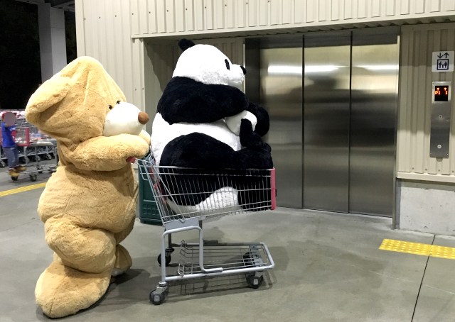 【衝撃】神奈川の「コストコ」にクマが出没！ 巨大パンダを購入して帰っていく様子がかわいすぎる!!