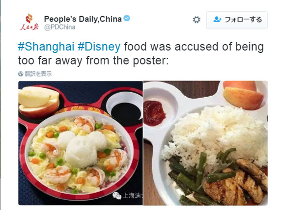中国 上海ディズニーの食事から漂うパチモノ臭がスゴイと話題 ポテトが雑草みたい ロケットニュース24