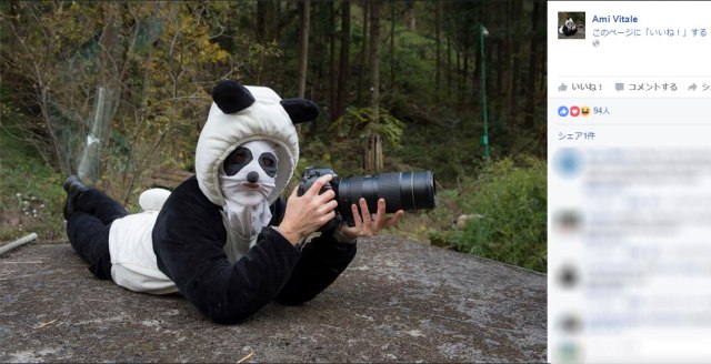 【衝撃】プロカメラマンの “対パンダ専用装備” がスゴイ