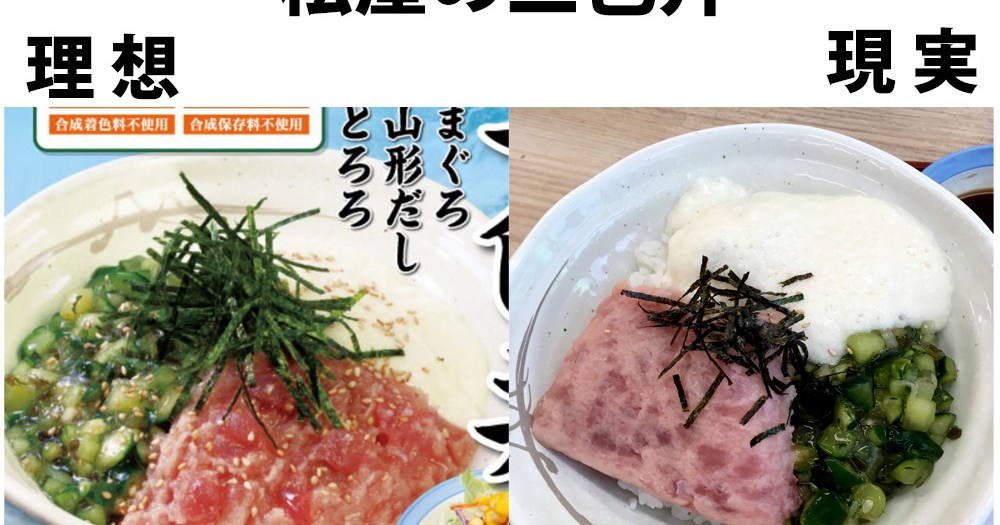 松屋の 三色丼 がフリスビーと話題に 実際に注文したらビート板だった ロケットニュース24