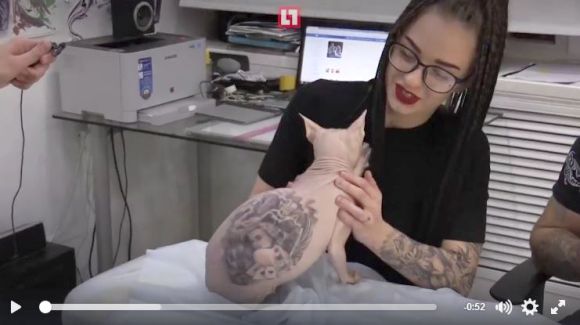 【大炎上】ペットの猫にタトゥーを施したロシア人彫り師に世界中から非難の声が！ 彫り師の言い訳がヒドすぎる!!