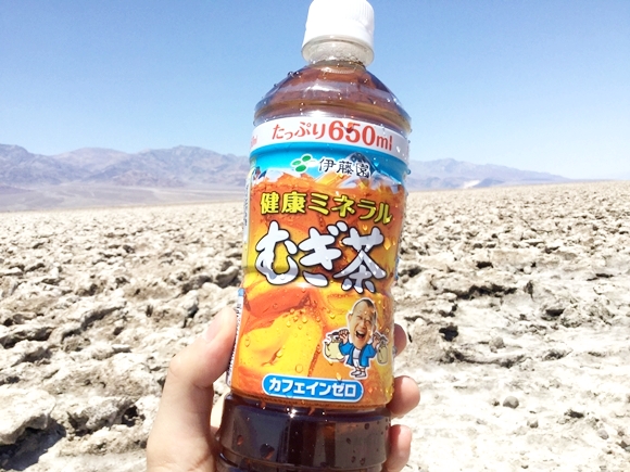 【ガチ検証】日本の暑さ対策飲料「健康ミネラルむぎ茶」を気温55℃のアメリカ・デスバレーまで行って外国人に飲んでもらった！