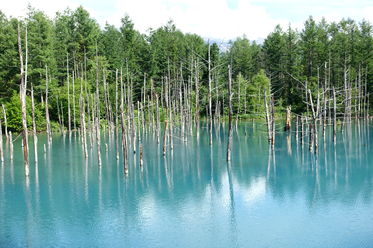 絶景 サファイアのような水面に映る神秘の世界 北海道美瑛の 青い池 が異世界への入り口すぎた ロケットニュース24