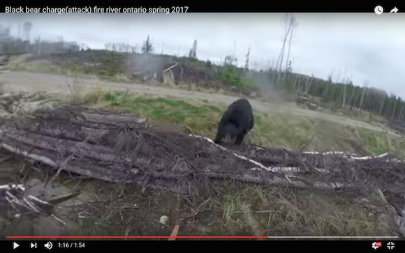 奇跡の生還 クマに襲われるハンターの視点映像がマジで怖い ロケットニュース24