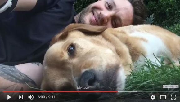 マッドマックス トム ハーディが愛犬への追悼メッセージを公開 愛があふれまくった動画にウルウルするファンが続出 ロケットニュース24