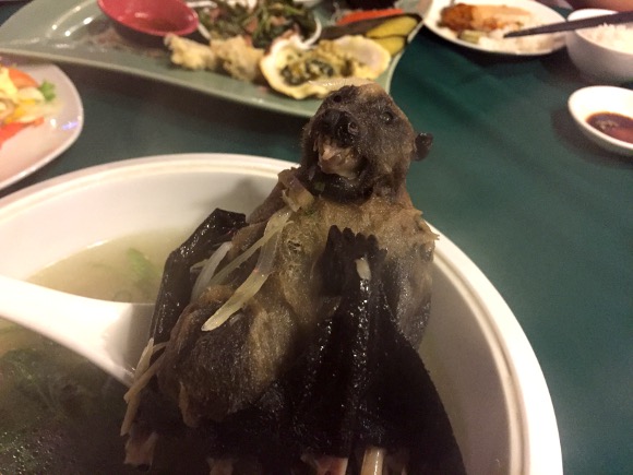 閲覧注意 パラオで食べた コウモリのスープ が3段階でヤバかった 肉は の味に近い ロケットニュース24