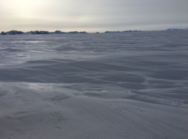 【南極冒険】順調に歩みを続ける冒険5日目 / 足にはグルグル巻きのテーピング!? 一体何があった！