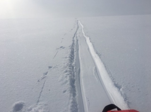 【南極冒険13日目】南極を歩くうえで、気温が高いと困ることとは何か？