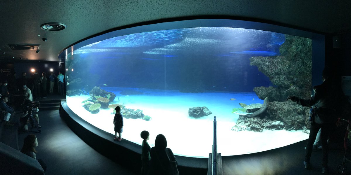 怪奇 魚が大量死したサンシャイン水族館の巨大水槽を撮影した画像に 不思議な少女 が写り込む ロケットニュース24