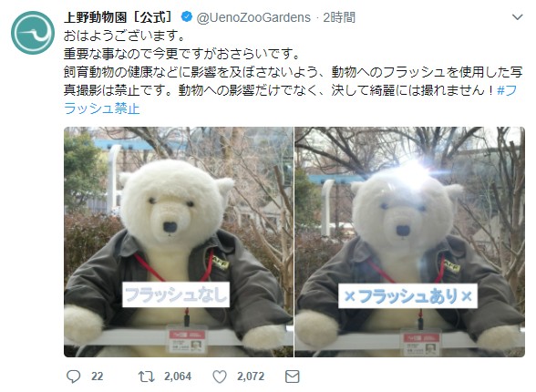 上野動物園が 写真撮影の時フラッシュをたかないで と注意喚起 園内に フラッシュ禁止 の看板が多数あるにもかかわらず散見される状況 ロケットニュース24