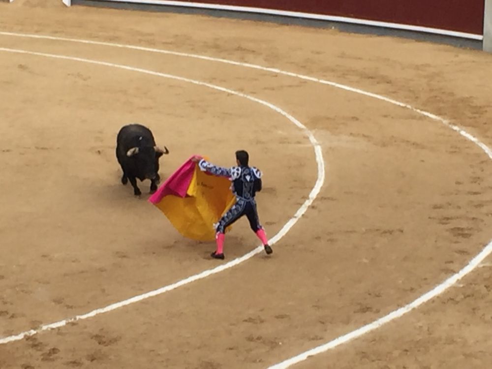 旅行記 スペインで見た闘牛が残酷すぎて大ショック 途中で闘牛場を抜け出す結果に ロケットニュース24