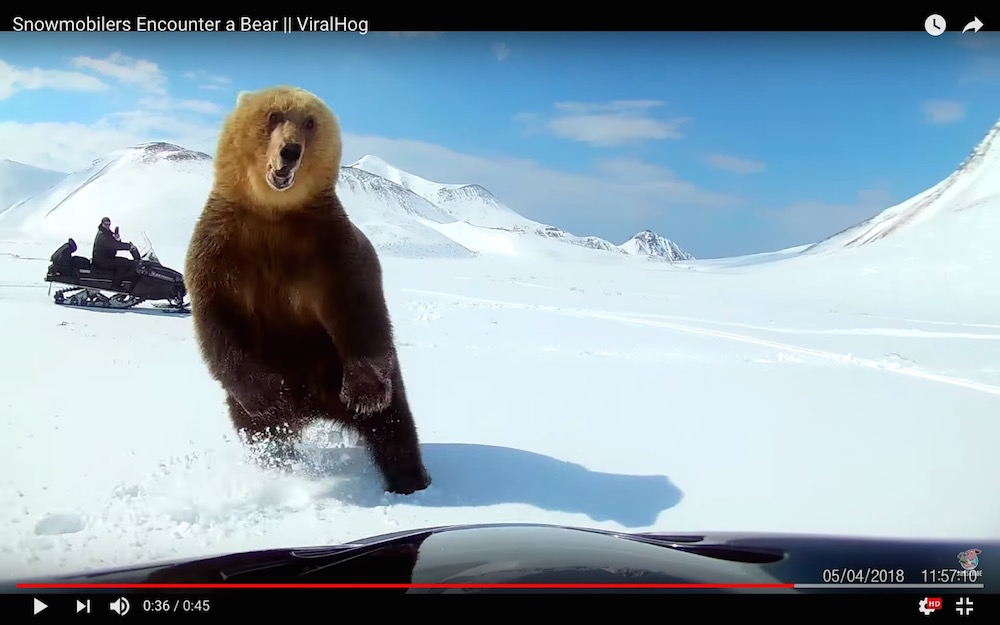 危機一髪 キレたクマがコワすぎ スノーモービルで追い払っていた男性が急襲される視点映像 ロケットニュース24