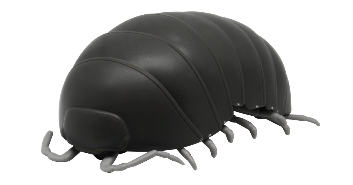 狂気 バンダイさん 丸まる 1000 スケールだんごむしガチャ を開発 本気出すところ間違えてるだろコレ ロケットニュース24