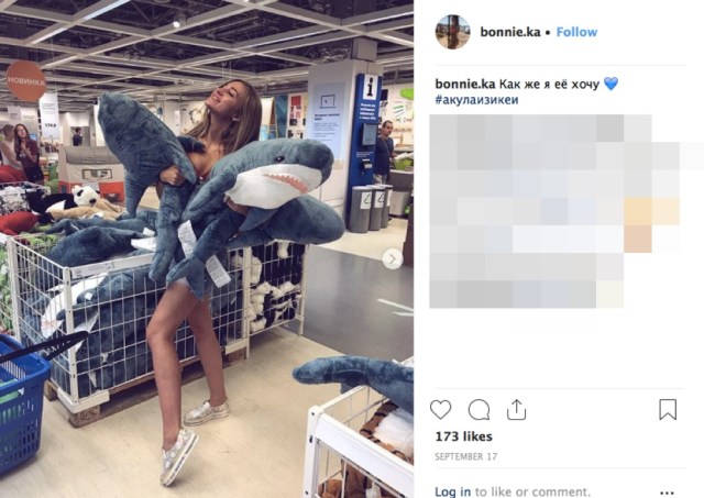 え？ ロシア人の間でなぜか「IKEAのサメのぬいぐるみ」が流行中 → 世界的に大人気でもあるらしい