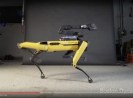 衝撃格闘動画 不気味でキモチ悪いロボット犬 Vs 普通の犬 ロケットニュース24