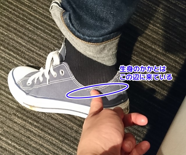 日本人気超絶の オタ活に バレずに身長を盛る レディース インソール 靴の中敷き