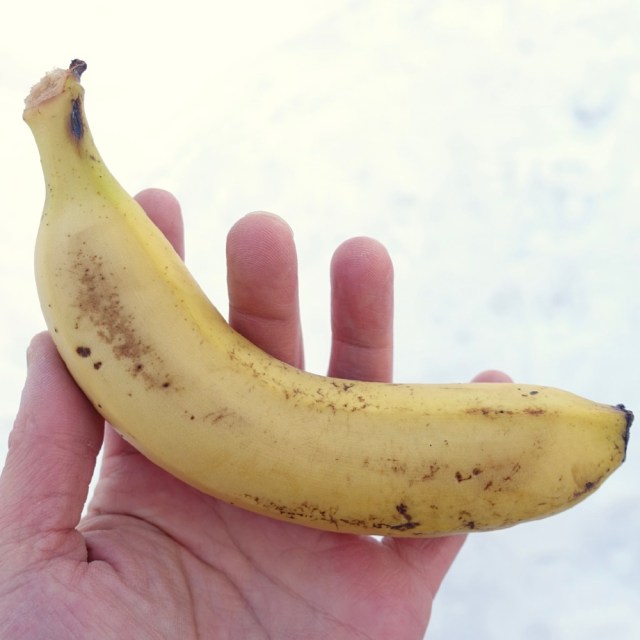真冬の北海道で「バナナのクギ打ち」にチャレンジした結果…