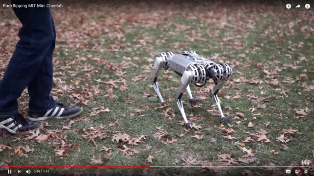 まさか4足歩行ロボットがバク宙するなんて…「ミニチーター」の驚くべき能力を確認できる動画がこちらです