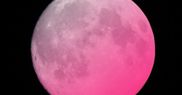 本日4月19日の満月はピンクムーン 衝撃の事実や ピンクムーン だけではない呼び名などについて ロケットニュース24