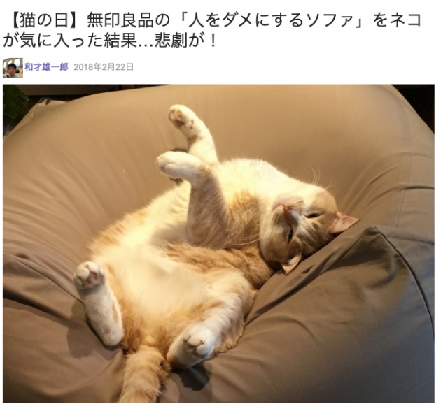 人気すぎて商品到着まで3カ月待ち 猫が気持ち良すぎてトロけるらしいグッズ ねこじゃすり を使ってみたら 記事的には もっとも困る反応 を示した ロケットニュース24